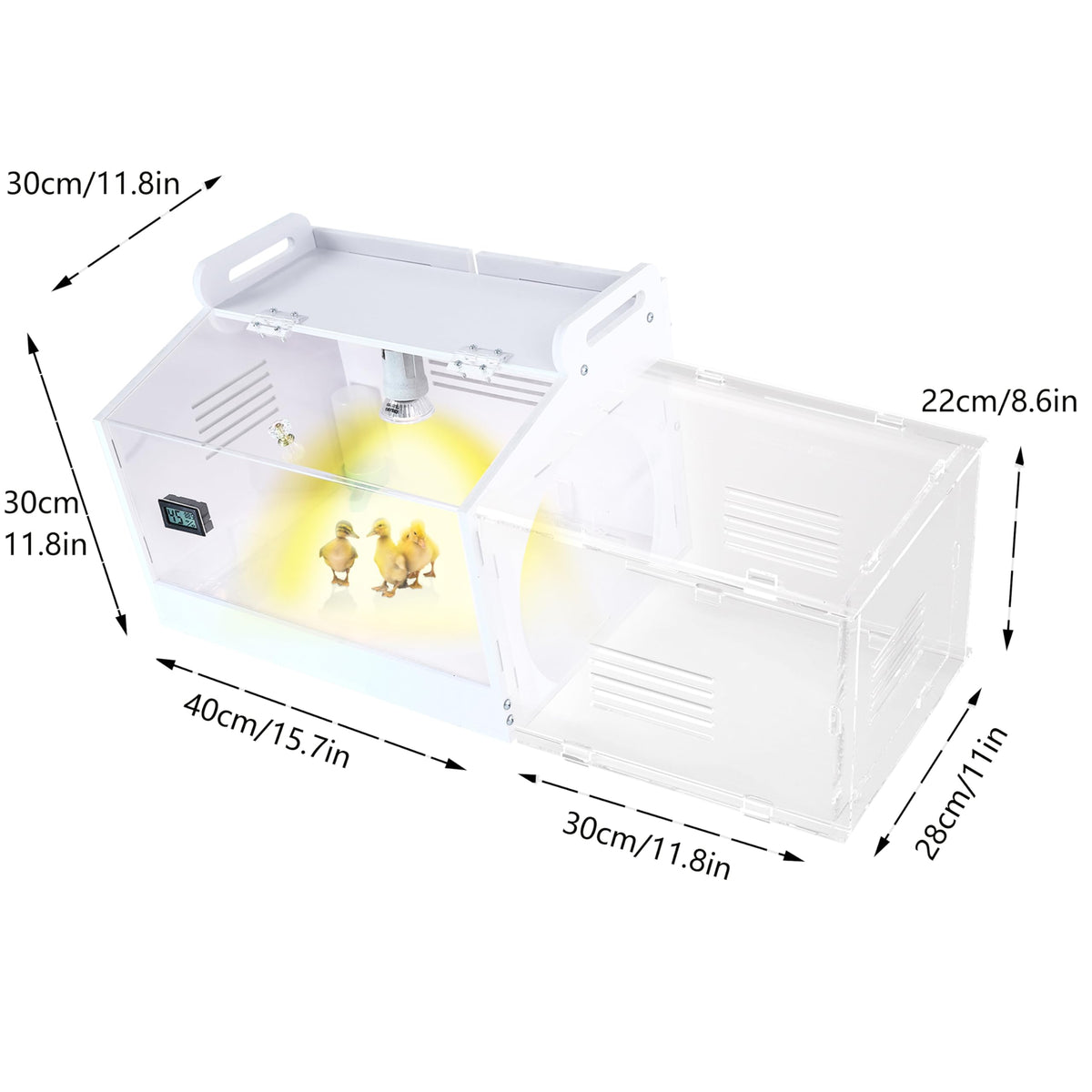 WIONBE iarge-scale brooder box with children observing chicks.