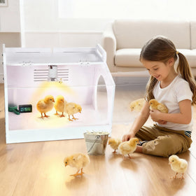 WIONBE iarge-scale chick brooder box digital display highlights temp and humidity monitoring.
