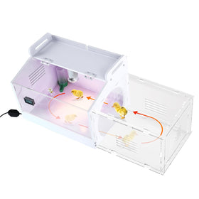 WIONBE iarge-scale chick brooder box interior ready with heat lamps and feeders.