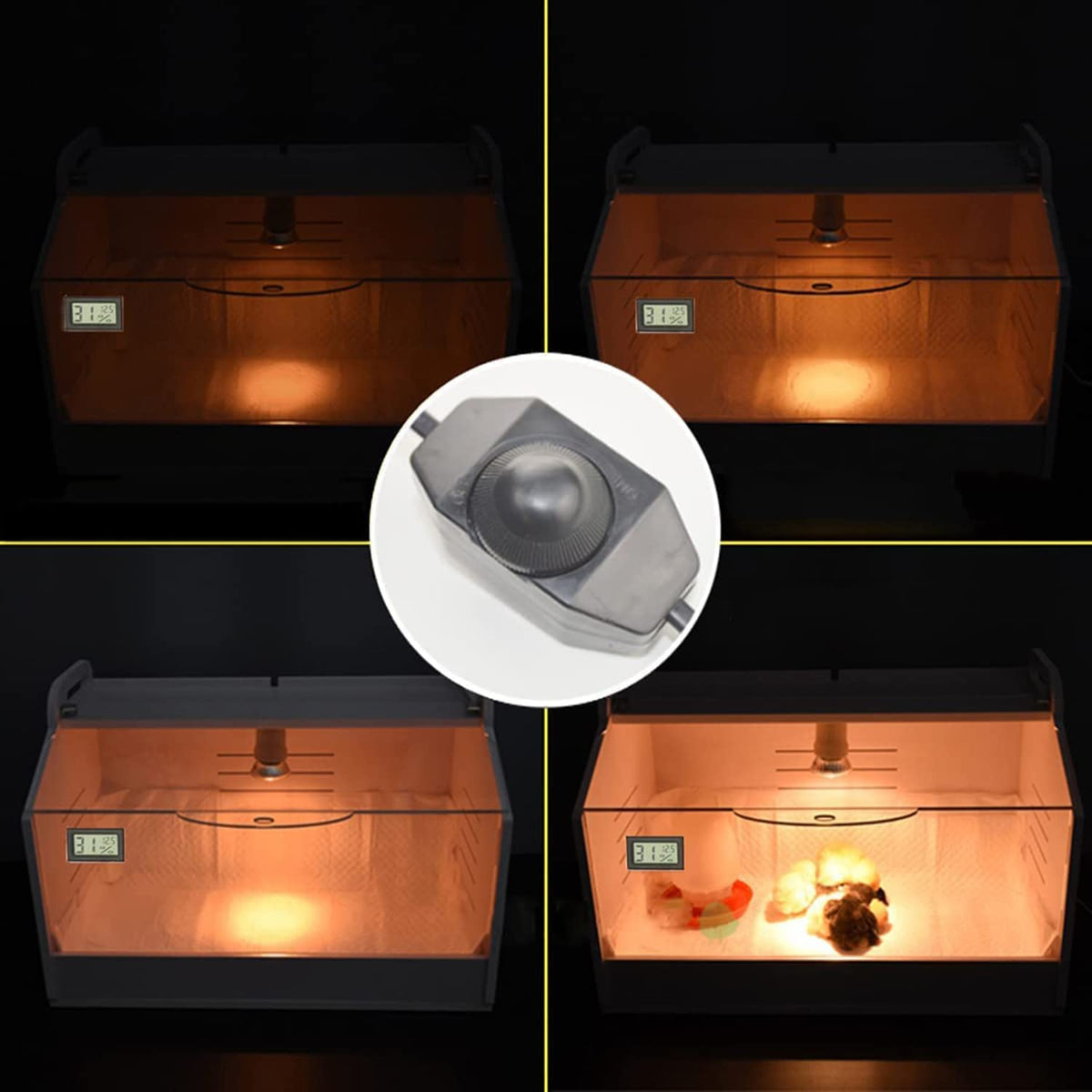 WIONBE Intelligent Brooder Box compact dimensions for small spaces