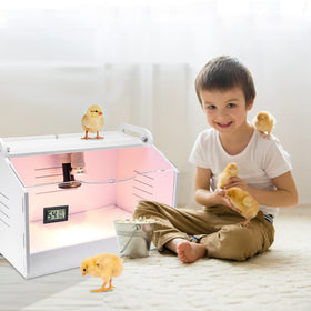 WIONBE Brooder Box includes chick starter kit for beginners