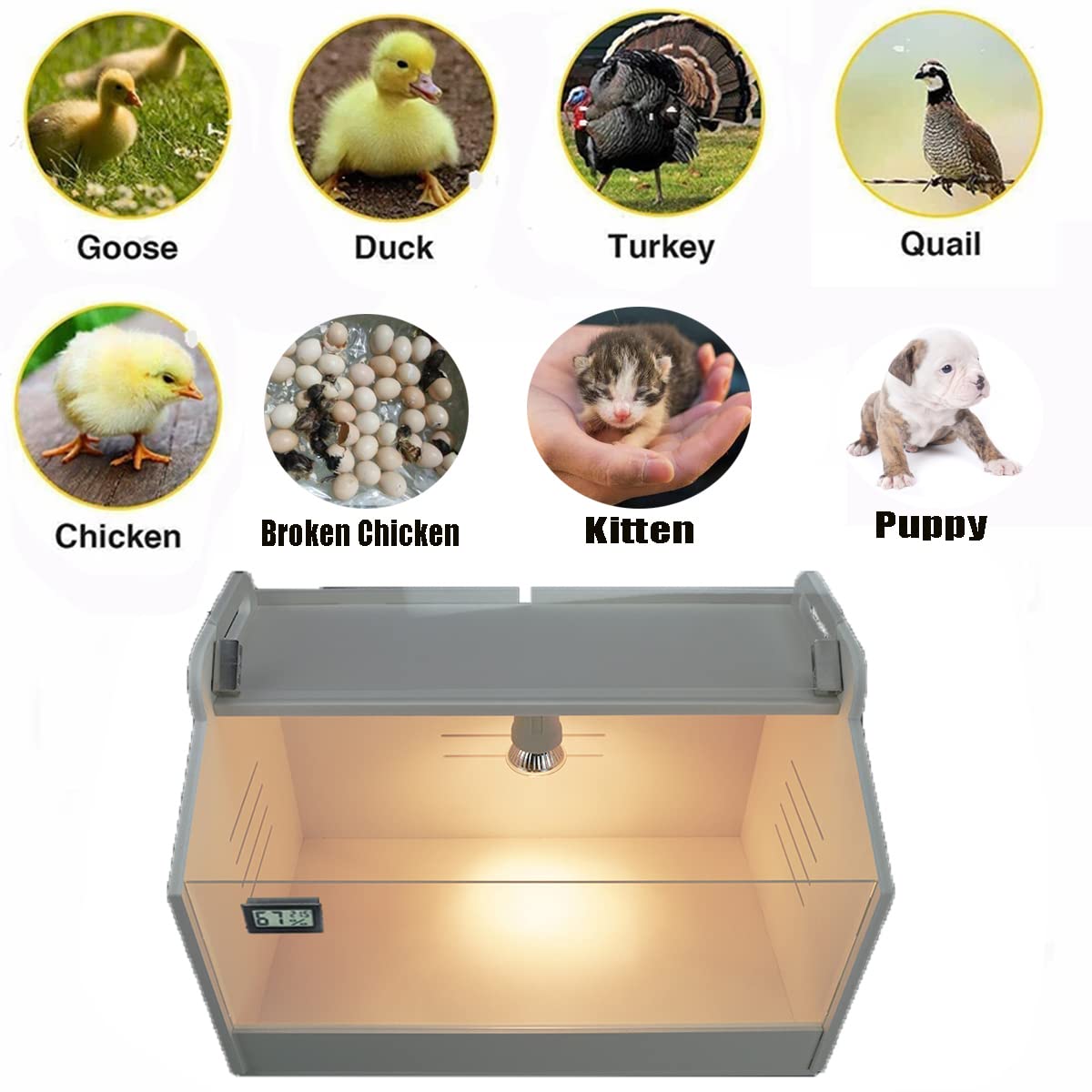 WIONBE Brooder Box PVC material is fireproof and moisture resistant