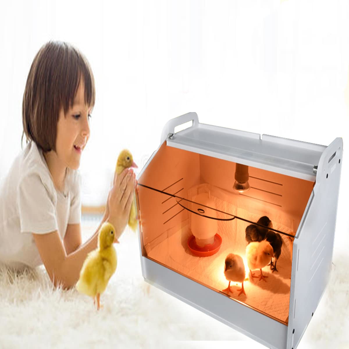 WIONBE Brooder Box transparent windows for easy observation