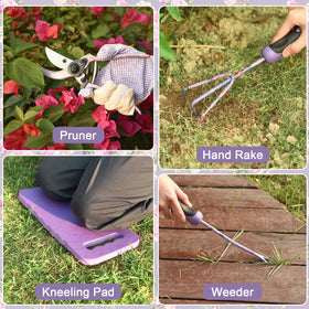 WisaKey transplanter trowel for precise transplanting.