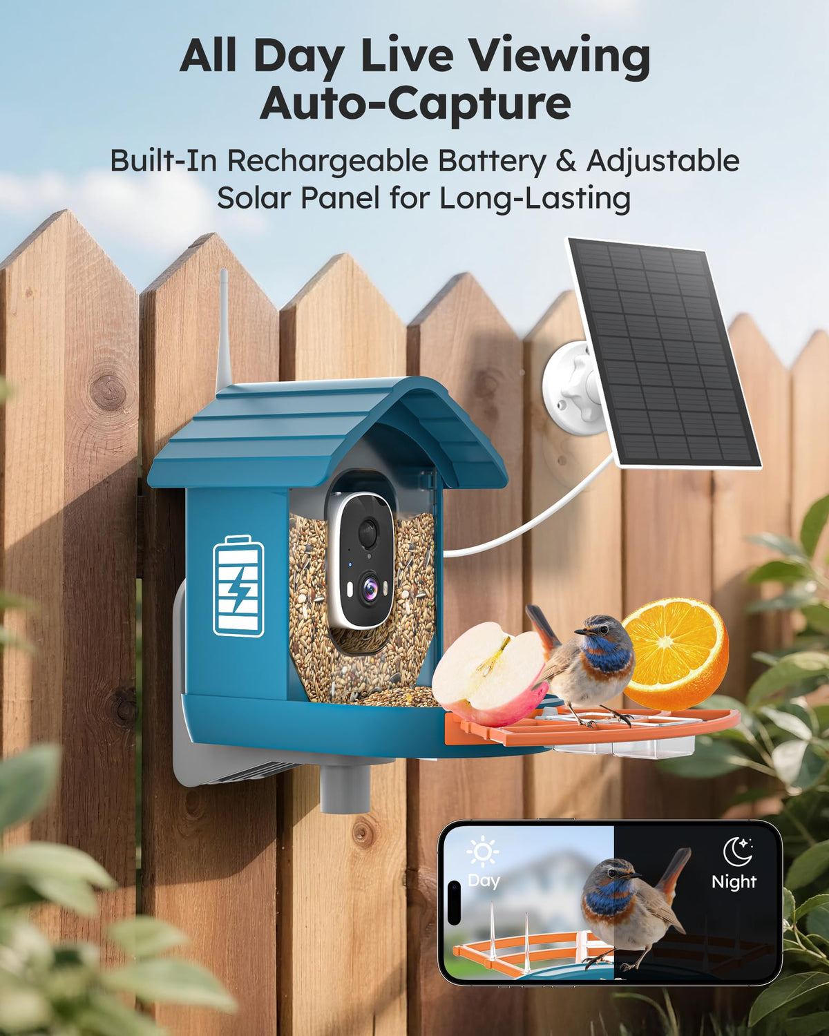 WiseBird feeder camera records in 2K FHD for crisp footage