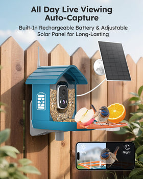 WiseBird feeder camera records in 2K FHD for crisp footage