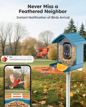 WiseBird feeder camera 3x magnification for close-up bird details