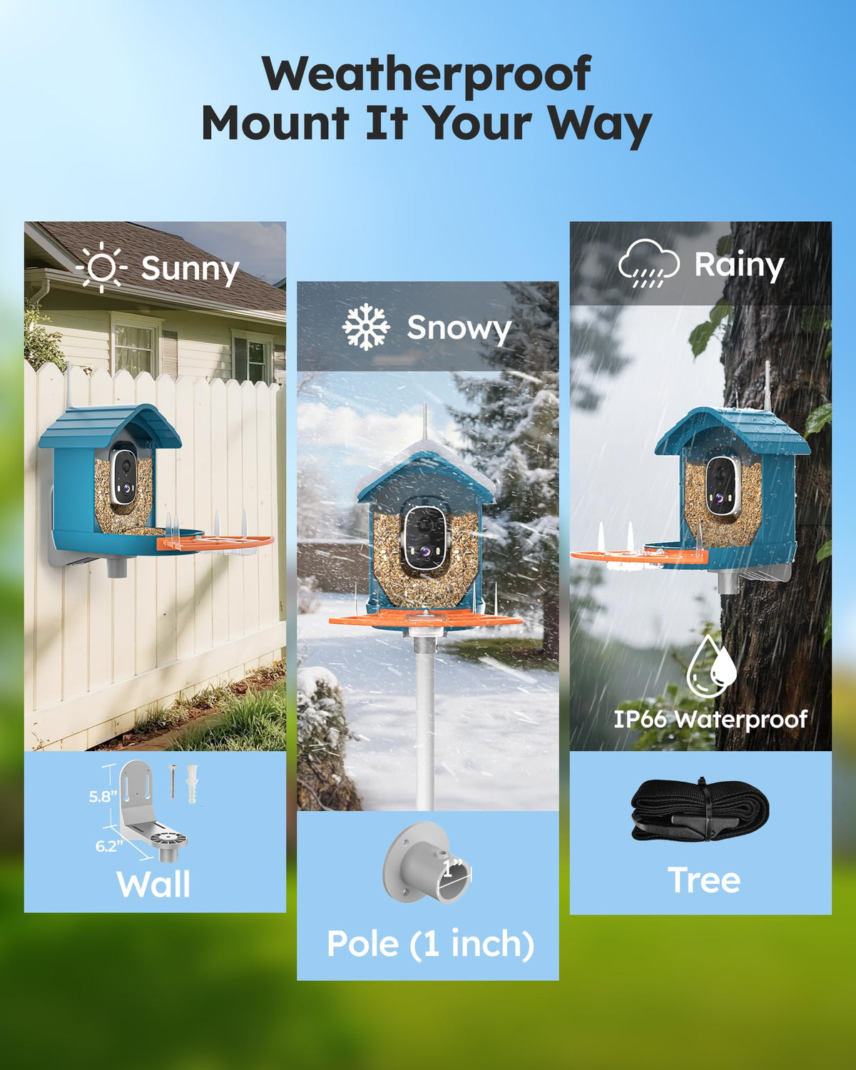 WiseBird smart feeder makes a thoughtful gift for bird lovers and families