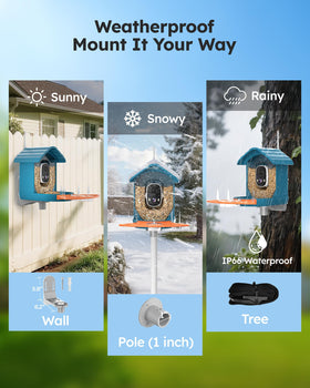 WiseBird smart feeder makes a thoughtful gift for bird lovers and families