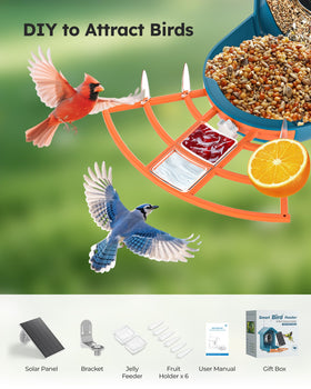WiseBird solar powered battery setup enables 24/7 outdoor use