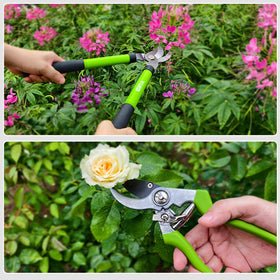 Wiselifetech branch cutter suitable for seniors and hobbyists.