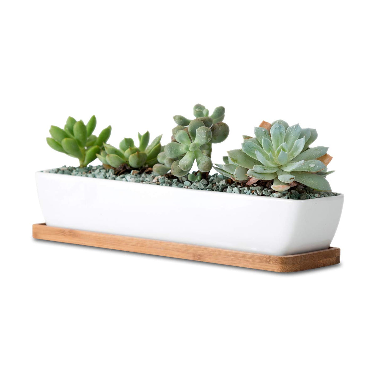 Wish Hally Wood 11-inch rectangle white ceramic planter for live plants in a minimalist setup.