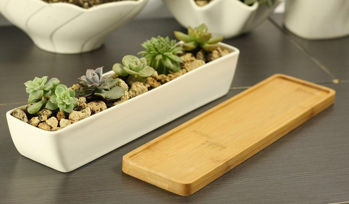 Wish Hally Wood bamboo saucer set enhances versatile display options.