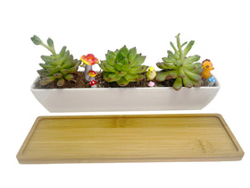 Wish Hally Wood compact 11-inch planter fits small arrangements.
