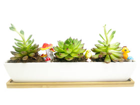 Wish Hally Wood draining-hole planter with saucer for easy watering control.