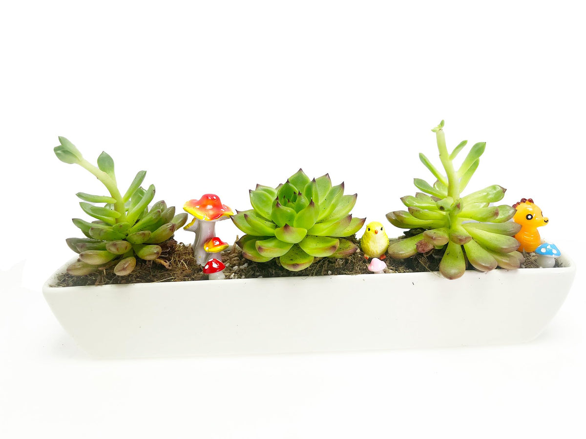 Wish Hally Wood organizer rectangle pot for small items or succulents.