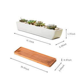 Wish Hally Wood rectangle planter showing drainage hole and saucer catchment.