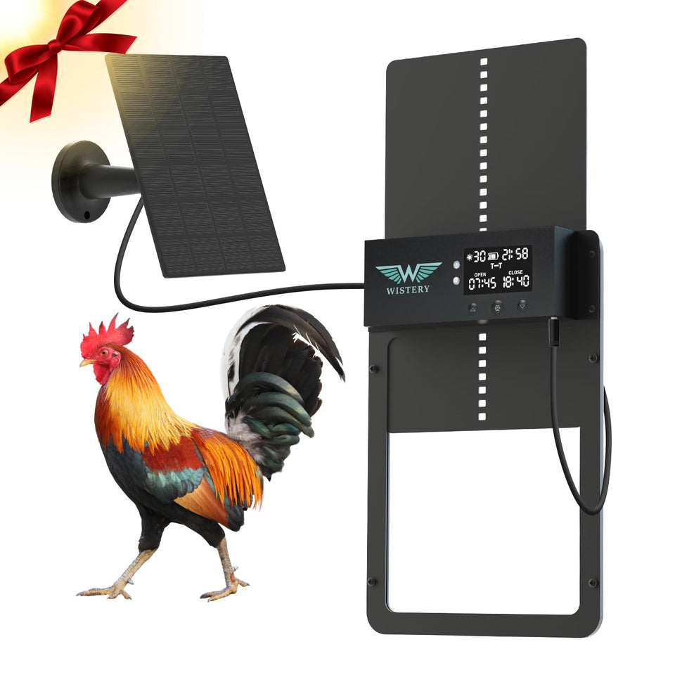 Wistery automatic chicken door with LCD display showing open/close settings for precise control