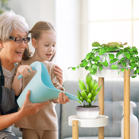 Wisuce carbon steel pots closeup on bamboo plant stand rust-resistant and easy to clean