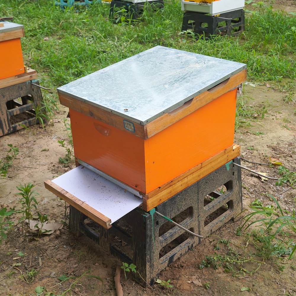 Witbee entrance reducer included for controlled hive access