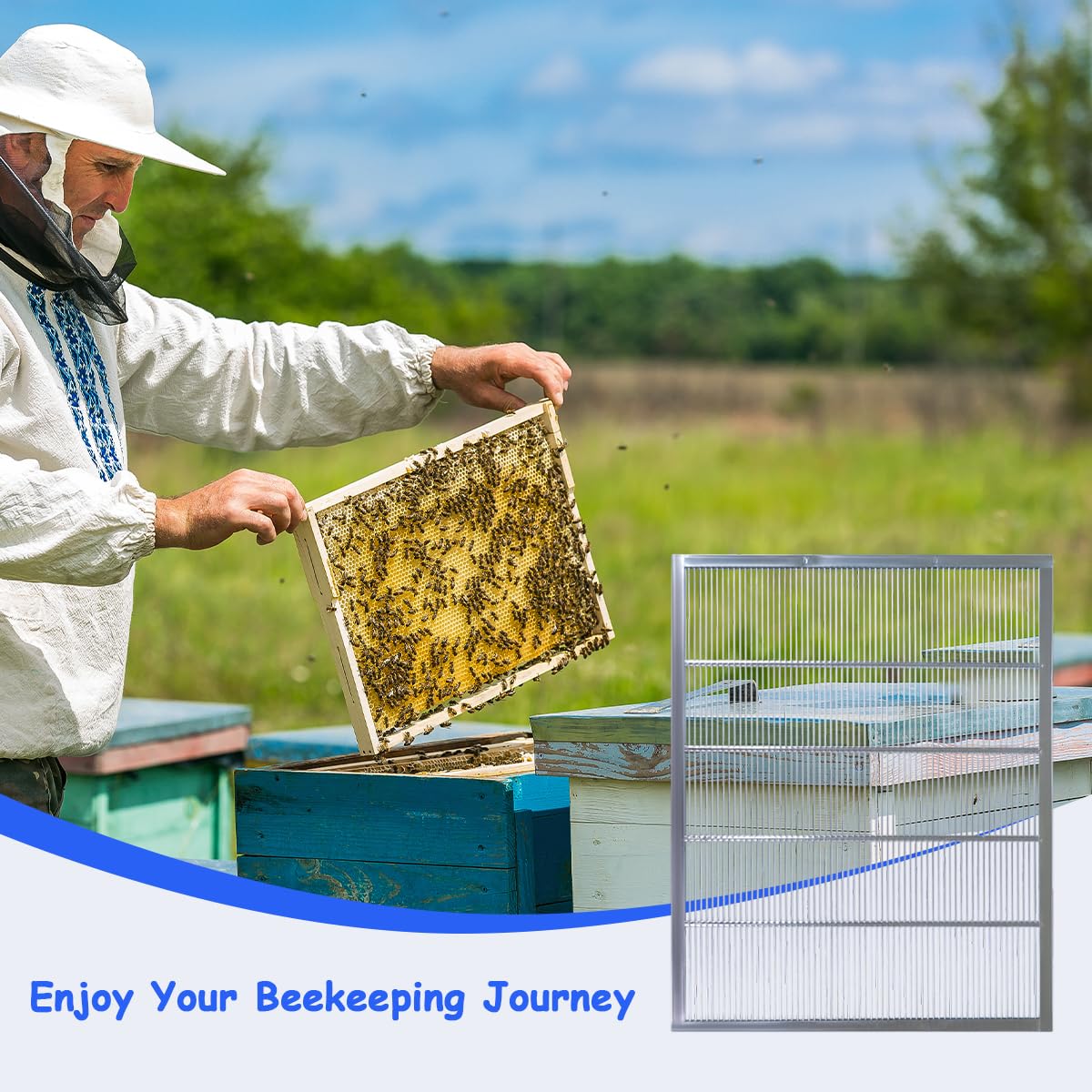 beekeeping setup using witbee queen excluders for efficient brood control
