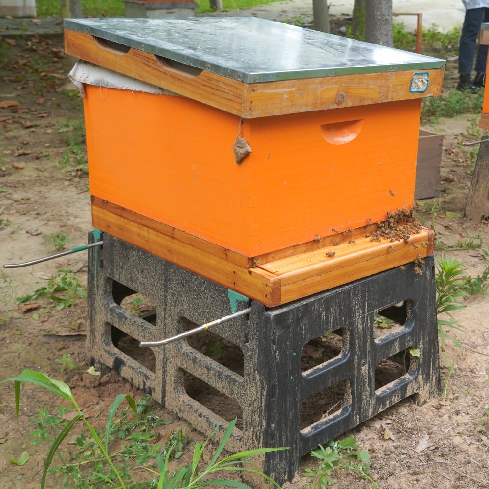 witbee two-pack assembled bottom boards for multiple hives