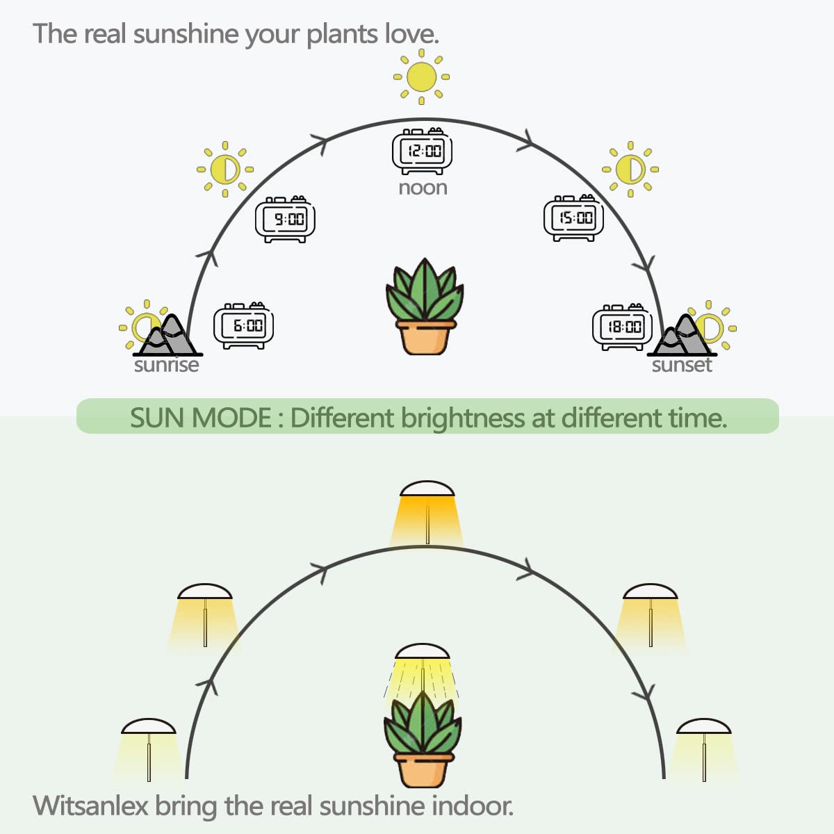 Witsanlex LED grow lights full spectrum coverage supports healthy foliage and color