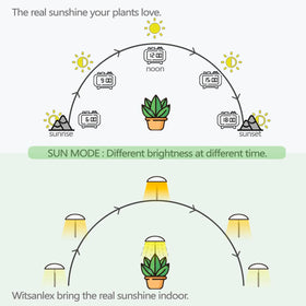 Witsanlex LED grow lights full spectrum coverage supports healthy foliage and color