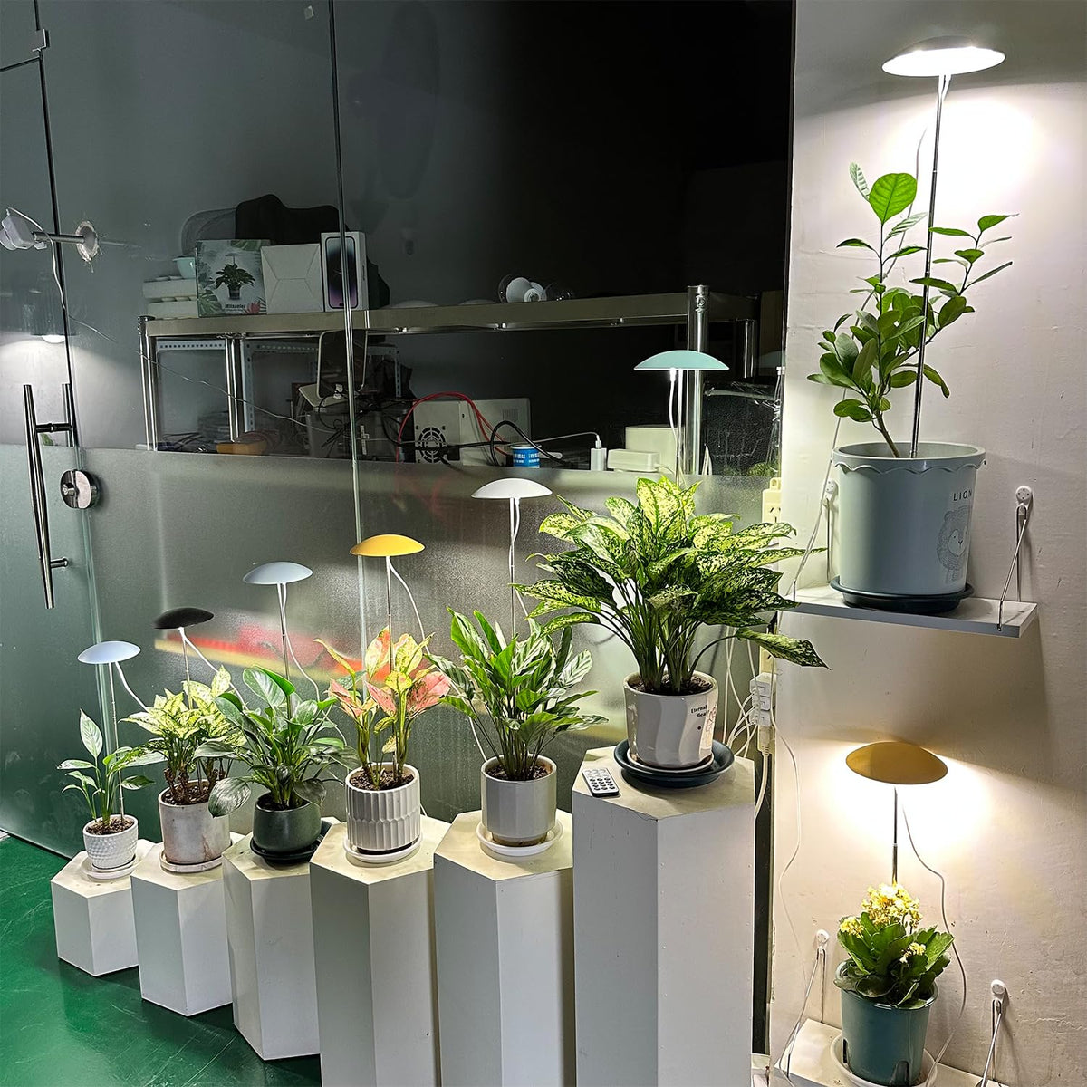 Witsanlex LED grow lights create home decor ambience with plants