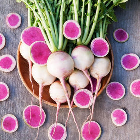 Wivolibe 7-types daikon radish seeds sturdy and fast-growing for cool seasons.
