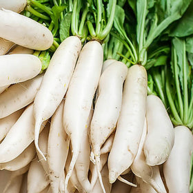 Wivolibe 7-types mixed radish seeds offer diverse harvest for trays and beds.