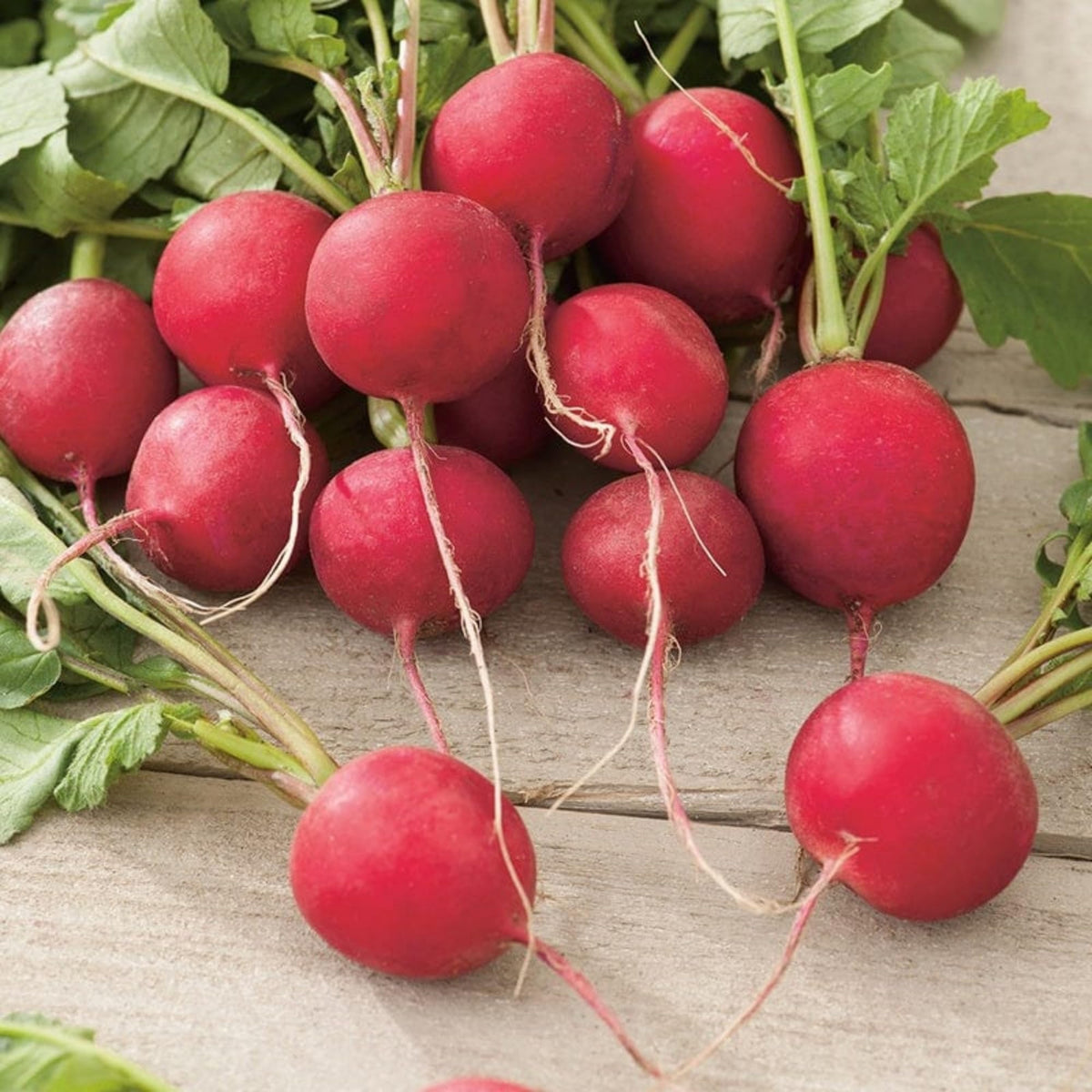 Wivolibe 7-types purple plum radish seeds brighten plates with peppery notes.