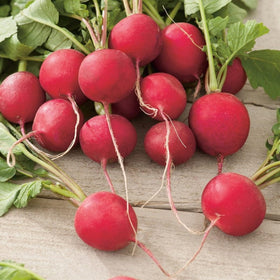 Wivolibe 7-types purple plum radish seeds brighten plates with peppery notes.