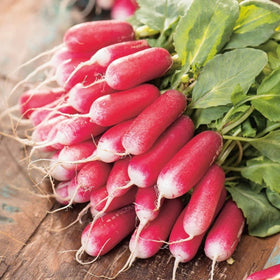 Wivolibe 7-types red radish seeds harvest-ready roots in days.
