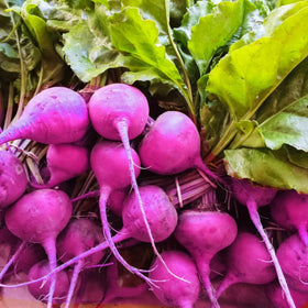 Wivolibe 7-types watermelon radish seeds add colorful crunch to your garden harvest.