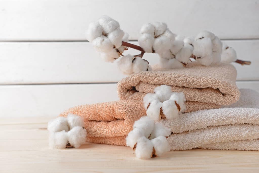 Wivolibe education scene shows classroom cotton plant project