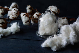 Wivolibe cotton garden display featuring ornamental blooms