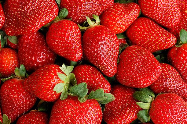 Wivolibe Cream Strawberry seeds Akihime packet for home planting and premium flavor