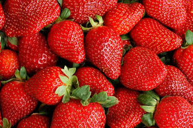 Wivolibe Cream Strawberry seeds Akihime packet for home planting and premium flavor
