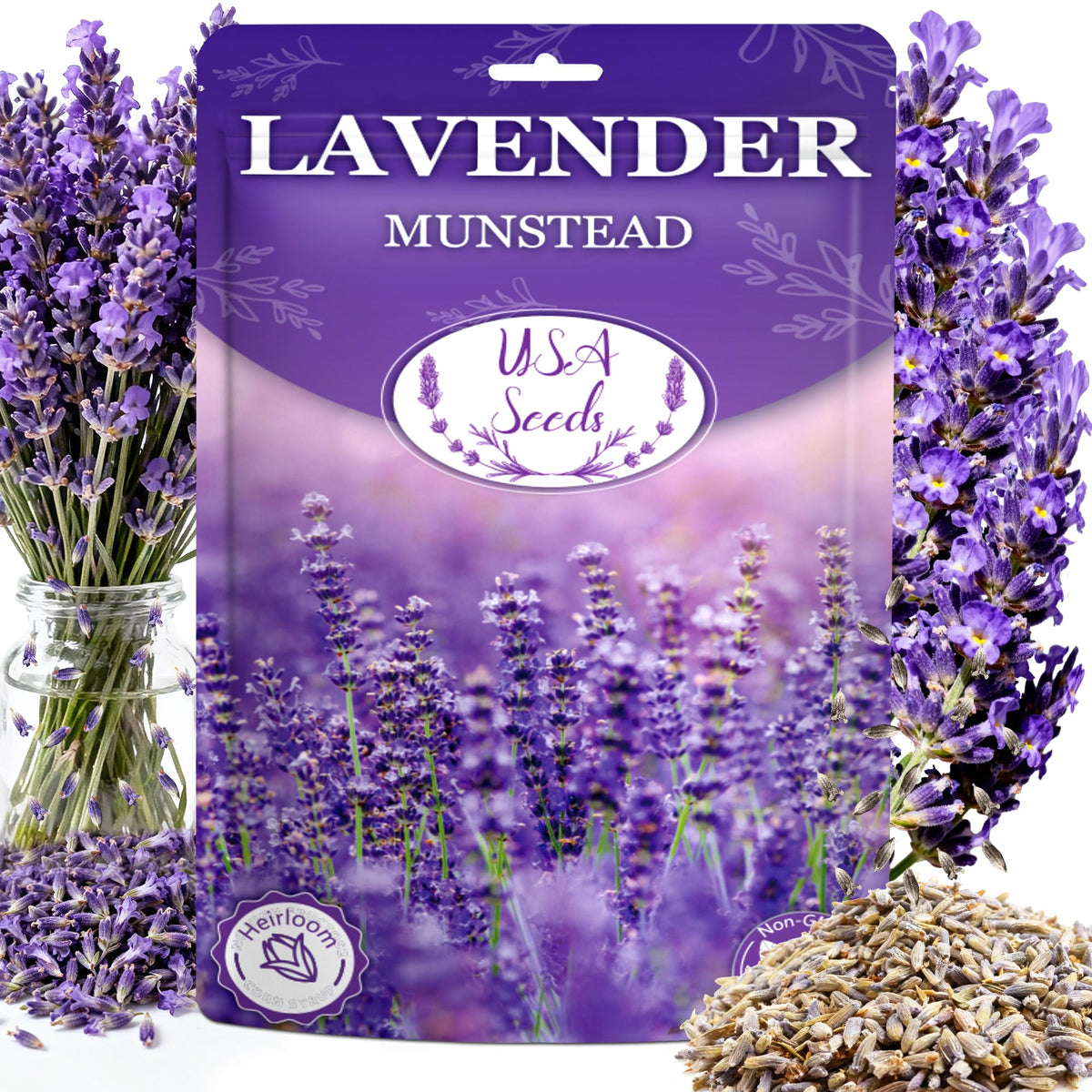 Wivolibe Lavender Munstead seeds for planting, enduring perennial color.