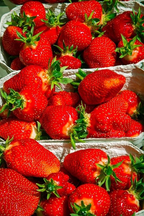 Wivolibe Non-GMO seeds emphasizing reliable viability for home gardeners