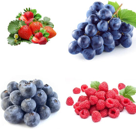Wivolibe raspberry seeds pack for easy balcony gardening and harvests