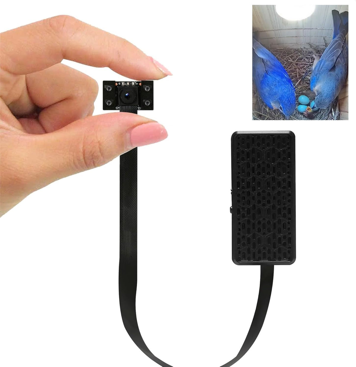 WIWACAM Bird Box Camera inside a nest box for clear 4K observation