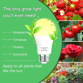 Wiyifada dimmable E26 grow light bulb provides adjustable brightness for seedling rooms.