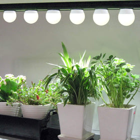 Wiyifada long-lasting LED grow bulbs offer up to 20,000 hours of life.