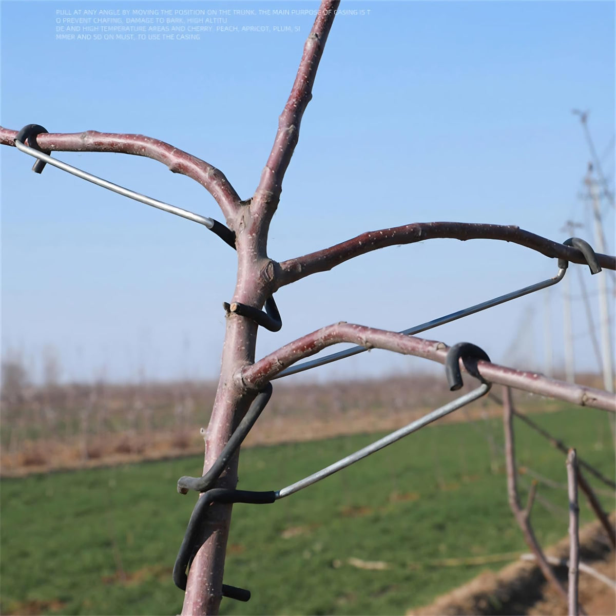 WLSANX spreader suits peach, pear, citrus, and plum trees.