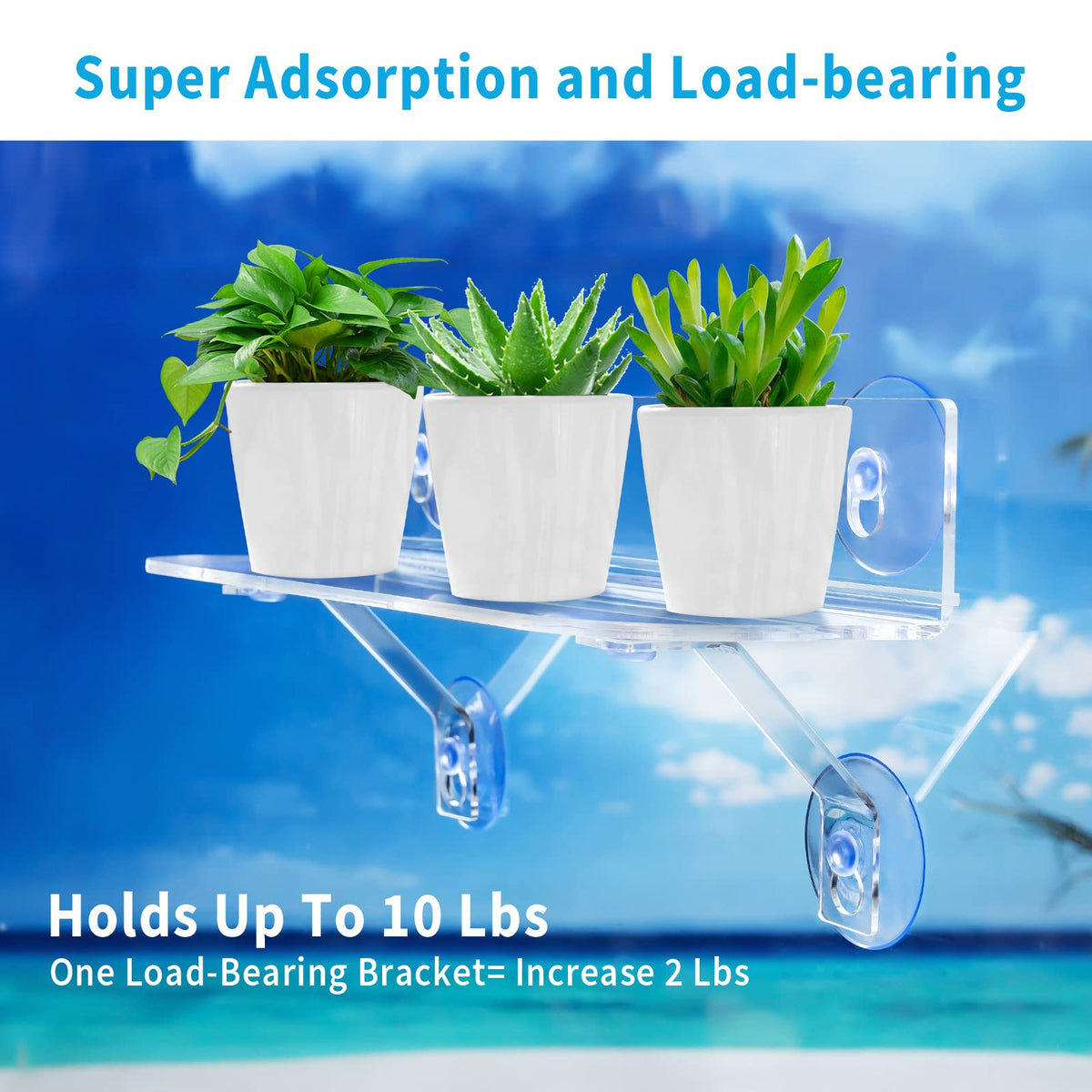 WLGTYU installed window-shelf supports herbs with space-saving display
