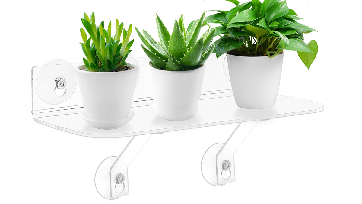 WLGTYU window shelf with suction cups securely holds plants on glass