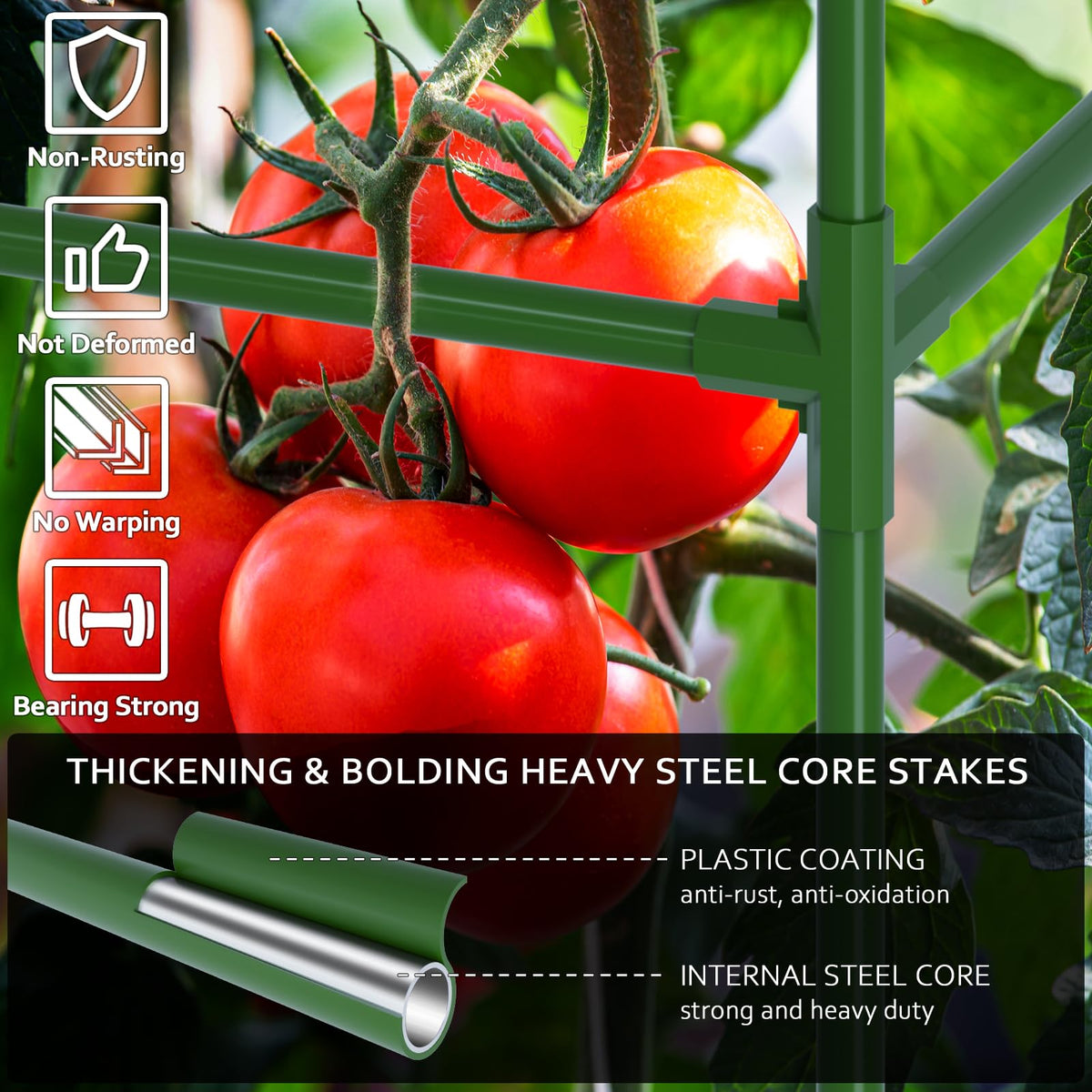 WLLEYAY square tomato cage 50-inch front view supporting climbing vines