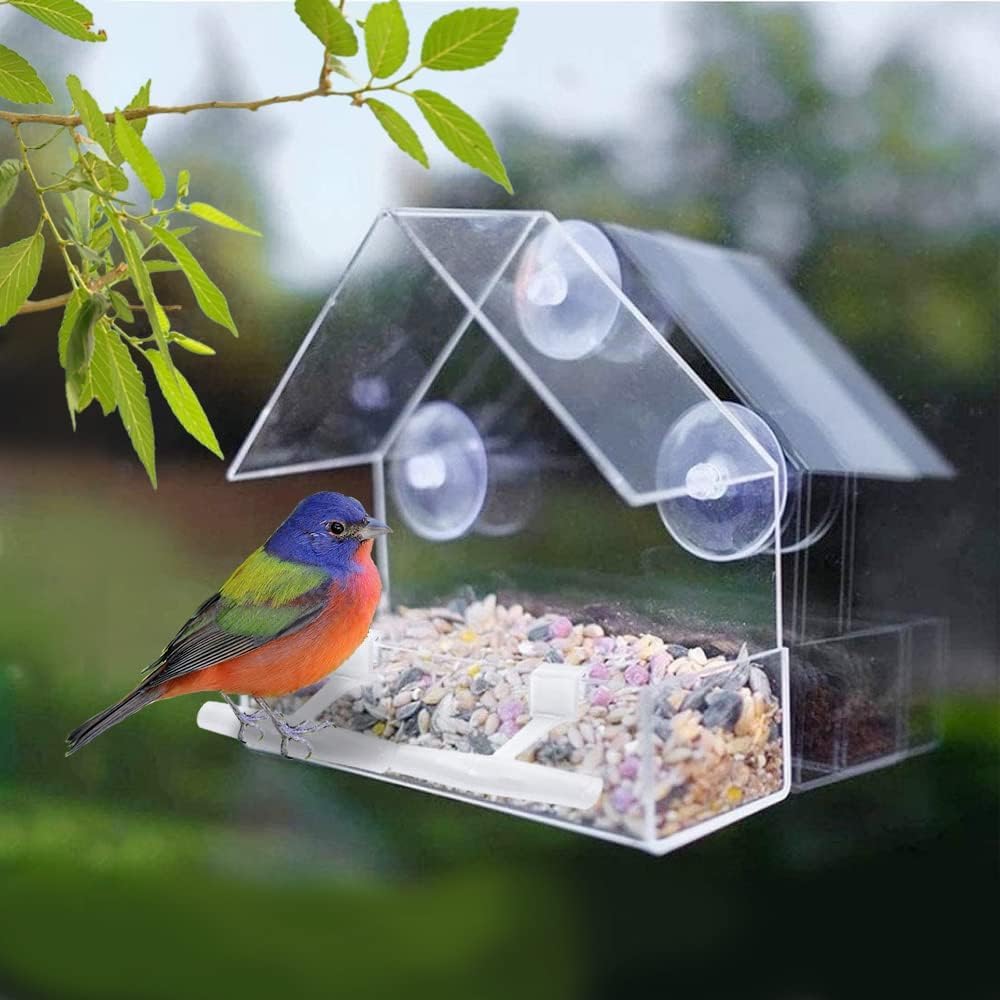 WLLKOO window bird feeder ideal for backyard or apartment use in any season.